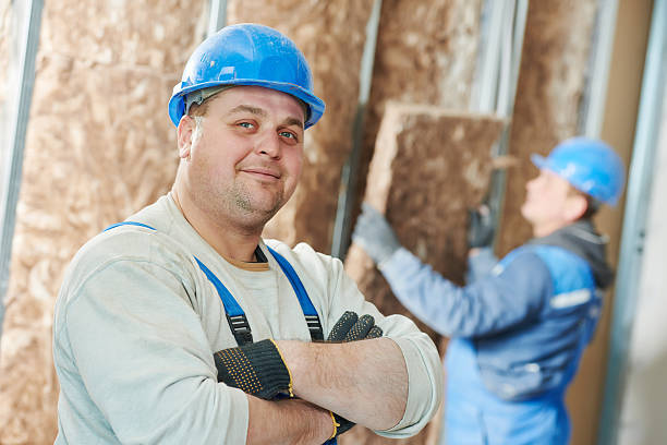 Best Eco-Friendly Insulation in North Auburn, CA